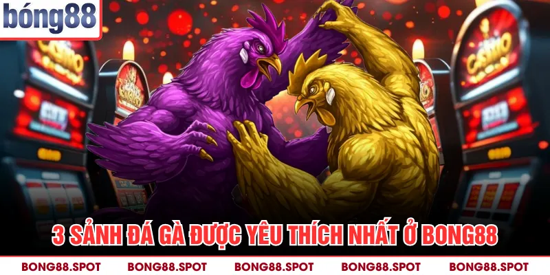 3 sảnh đá gà được yêu thích nhất ở bong88
