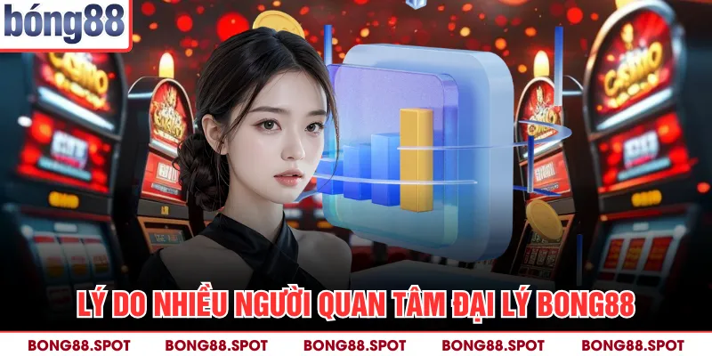 Lý do nhiều người quan tâm đại lý bong88